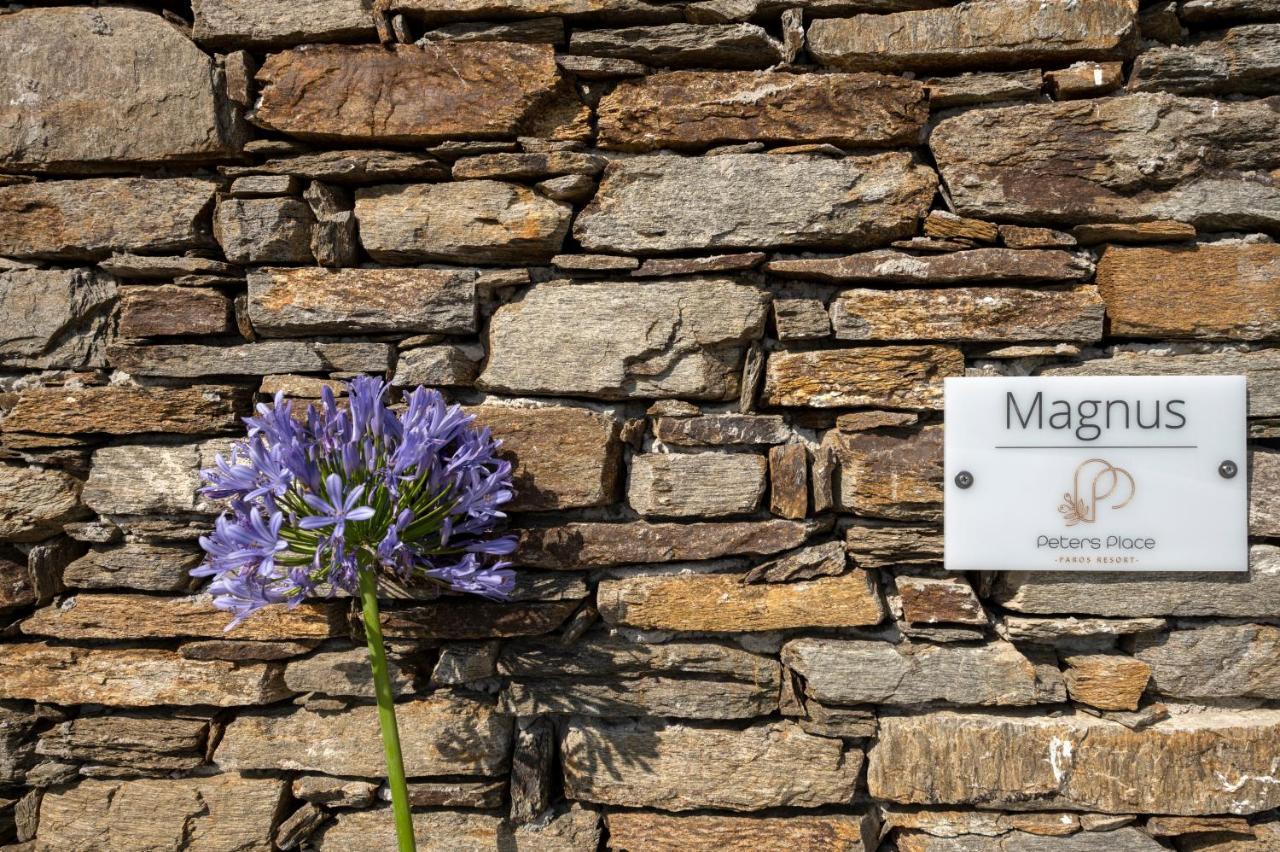 Peters Place - Paros Resort Parasporos المظهر الخارجي الصورة